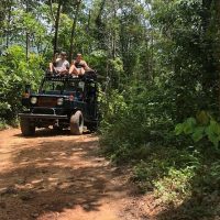 Half-day Tours
