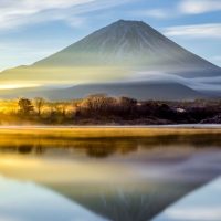 Bus & Minivan Tours