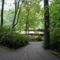 Bus & Minivan Tours