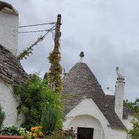 Cultural Tours