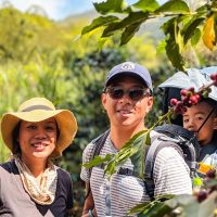 Half-day Tours