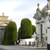 Ports of Call Tours
