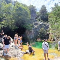 Tours & Sightseeing