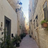 Walking Tours