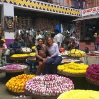 Cultural Tours