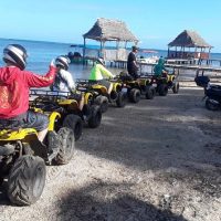Half-day Tours