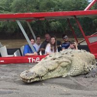 Luxury Tours