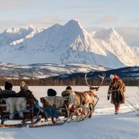 Half-day Tours