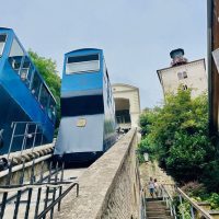 Cultural Tours