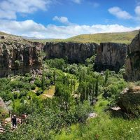 Cultural Tours