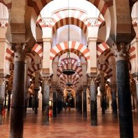 Luxury Tours