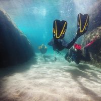 Holiday & Seasonal Tours