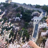 Full-day Tours