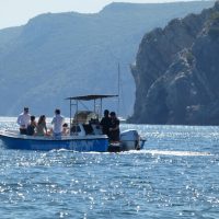 Half-day Tours