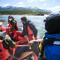 Boat Tours