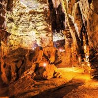 Bus & Minivan Tours
