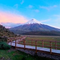 Cultural & Theme Tours
