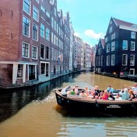 Day Cruises