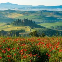 Bus & Minivan Tours