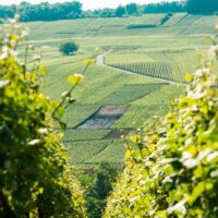 Full-day Tours