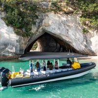 Boat Tours