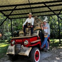 Tours & Sightseeing