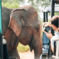 Luxury Tours