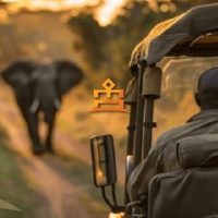 Bus & Minivan Tours