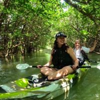 Shore Excursions