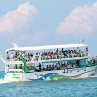Port Transfers