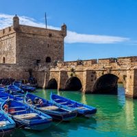 Shore Excursions