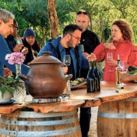 Food, Wine & Nightlife