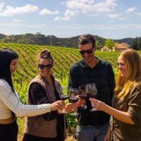 Food, Wine & Nightlife