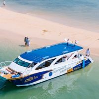 Bus & Minivan Tours