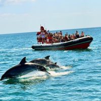 Jet Boats & Speed Boats
