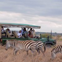 Bus & Minivan Tours