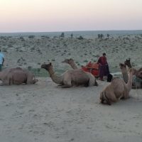 Day Trips & Excursions
