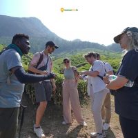 Tours & Sightseeing