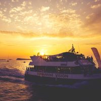 Catamaran Cruises