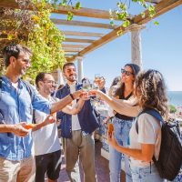 Tours & Sightseeing