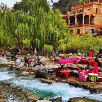 Ports of Call Tours
