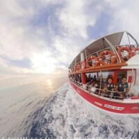 Cruises, Sailing & Water Tours