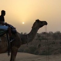 Half-day Tours