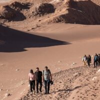 Bus & Minivan Tours
