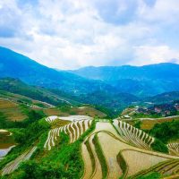 Cultural & Theme Tours
