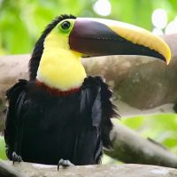 Eco Tours