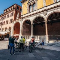Half-day Tours