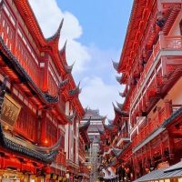 Bus & Minivan Tours