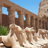 Archaeology Tours