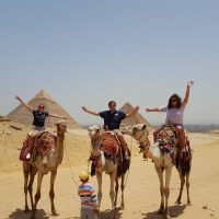 Shore Excursions